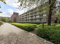 Wenckebachlaan 32, 9728 JJ Groningen