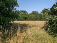 Grens 28 C, 5111 EB Baarle-Nassau