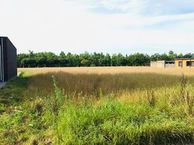 Waterwilg, 5492 SZ Sint-Oedenrode