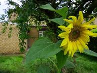 Koning Hendrikstraat 12, 6291 HR Vaals