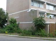 Nijenheim 3281, 3704 AW Zeist