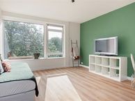 Aart van der Leeuwkade 60, 2274 LA Voorburg