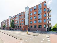 Olympus 8, 2182 TG Hillegom