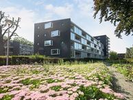 Taxusstraat 4 - 08, 5038 KR Tilburg