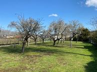Burgemeester van Suchtelenstraat, 6641 XM Beuningen (GE)