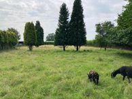 Bijmansstraat 13 -13E, 6653 BT Deest