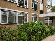 Westerlengte 51, 1034 SX Amsterdam