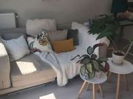 Oudlaan 117, 3515 GA Utrecht