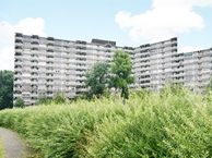 Jonkerbos 250, 2715 SZ Zoetermeer