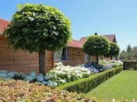 Brandvenstraat 1, 6011 SH Ell