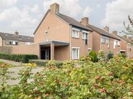 Joost van den Vondelstraat 14, 6181 DL Elsloo (LI)