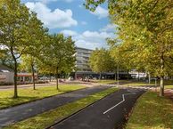 Laan van Vollenhove 874, 3706 AC Zeist