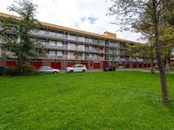 Lisdoddelaan 19, 1562 SL Krommenie