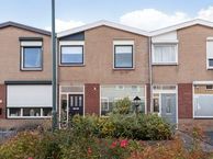 Reesloot 19, 4761 LC Zevenbergen