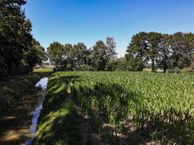 Kantstraat, 5076 NR Haaren