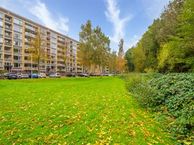 Karel Doormanlaan 112, 3572 NL Utrecht