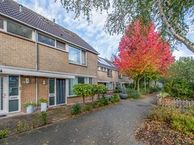 Haringvliet 10, 2401 DA Alphen aan den Rijn