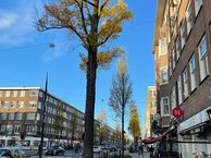 Rijnstraat 167 - I, 1079 HD Amsterdam