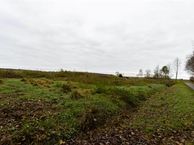 Niesoordlaan, 9681 CV Midwolda