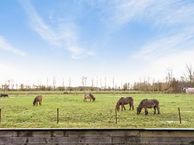 F. Cleveringastraat 28, 9964 BB Wehe-den Hoorn