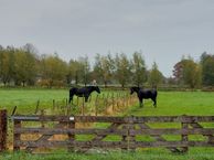 Stationsstraat 135, 5963 AA Hegelsom