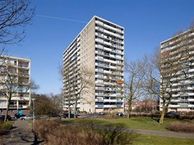 Waddenstraat 309, 2036 LH Haarlem