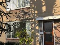 Tormentil 50, 8265 DP Kampen