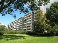 Adriaan Dortsmanstraat 71, 3067 NB Rotterdam