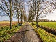 Kraaiendijk 14, 4794 SE Heijningen
