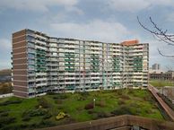 Loenermark 347, 1025 TG Amsterdam