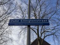 Duke Ellingtonstraat 209, 2551 WG Den Haag
