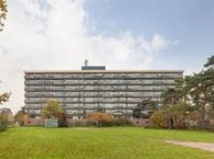 Geelgorslaan 8, 3722 VH Bilthoven