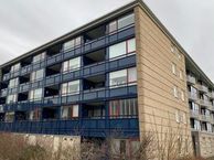 Grahamstraat 173, 1973 RA IJmuiden