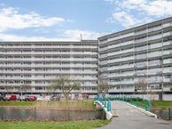 Arendshorst 24, 2317 CP Leiden