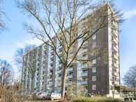 Kortgenestraat 49, 3086 JD Rotterdam