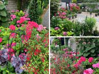 Boerhaavelaan 31, 4002 WB Tiel