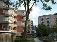 Terborchhof 75, 1816 LX Alkmaar