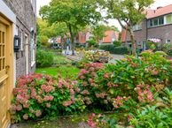 Gladiolusstraat 14, 1215 CE Hilversum