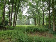 Beukenlaan, 1272 RJ Huizen