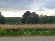 Kampsestraat 3, 6657 AA Boven-Leeuwen