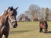 Sing-Sang 8, 8403 BH Jonkerslân