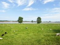 Greffelingsedijk 9, 6626 AW Alphen (GE)