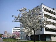 Henriette Ronnerstraat 192, 5038 KK Tilburg