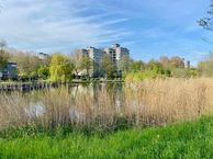 Gouden Leeuw 1017, 1103 KX Amsterdam