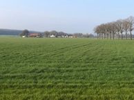 Hogewaldseweg, 6562 KS Groesbeek