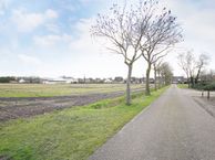 Daandelendennen, 5428 NP Venhorst