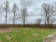 Geert Topelenstraat, 9688 RN Drieborg