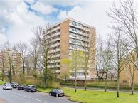 De Loet 254, 1902 BS Castricum