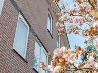 Vijzelpad 41, 8051 KL Hattem