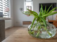 Hugo de Grootstraat 22, 9665 LS Oude Pekela